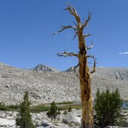 SouthernSierra 430 : SouthernSierra